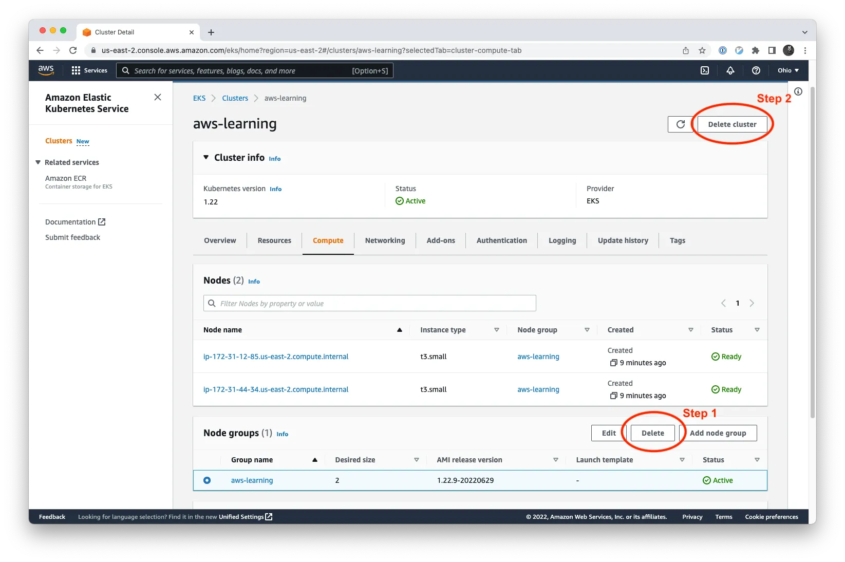 AWS EKS console showing steps to delete a node group (step 1) and then the cluster (step 2).